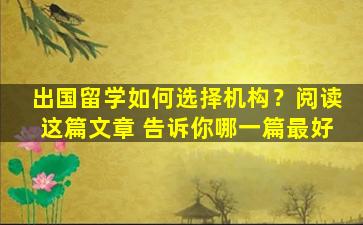 出国留学如何选择机构？阅读这篇文章 告诉你哪一篇最好